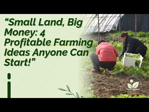 🔥 “Small Land, Big Money: 4 Profitable Farming Ideas Anyone Can Start!”