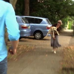 19M views · 720K reactions | 3-month-old puppy is having severe convulsions after swallowing snail bait!  Can Dr Chris save this little puppy before it’s too late? 梁 | Bondi Vet | Facebook