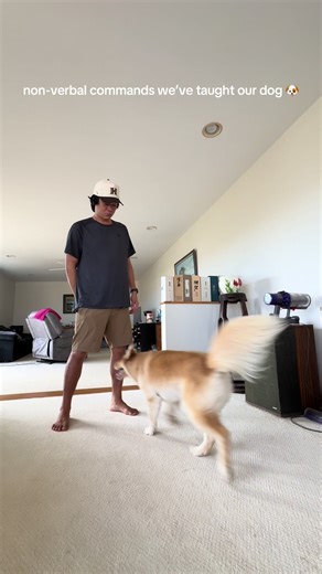 Training your dog with non-verbal communication offers unique advantages that can make learning easier and strengthen your relationship with your pet. Here are 3 key benefits: 1. Clearer Understanding - dogs naturally read body language, so using gestures or signals can often communicate more effectively than words. 2. Stronger Bond - non verbal cues can build trust and connection, as your dog will learn to watch and respond to you closely. 3. Practical in Any Situation - silent signals work in 