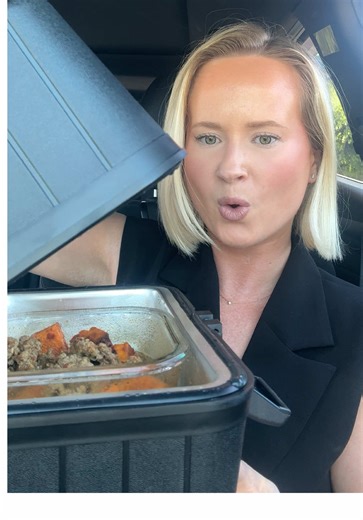 Portable Food Warmer: Test and Review