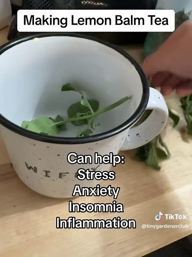 Making Lemon Balm Tea Recipe