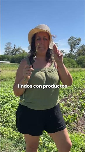 ¿Qué son los alimentos agroecológicos?