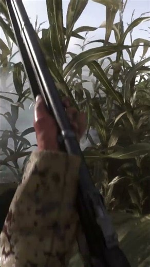 Death in the Cornfield..🌾Most Realistic Civil War Game Ever! #warofrights#civilwar#fps#pcgaming#rdr2