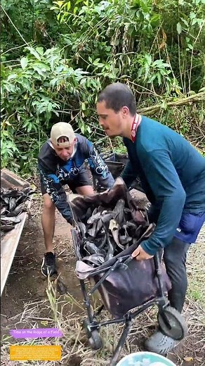 Emptying the Cart: How Two Men Turn Waste into Order Amidst the Jungle