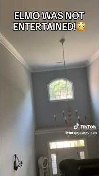 A little girl brings a stone to Elmo, Elmo gets angry and is expelled #seasame #funny #comedy #elmo