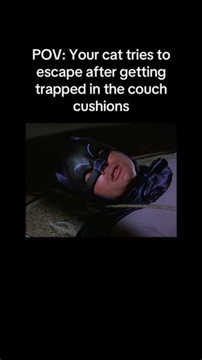Your cat tries to escape after getting stuck in the couch cushions