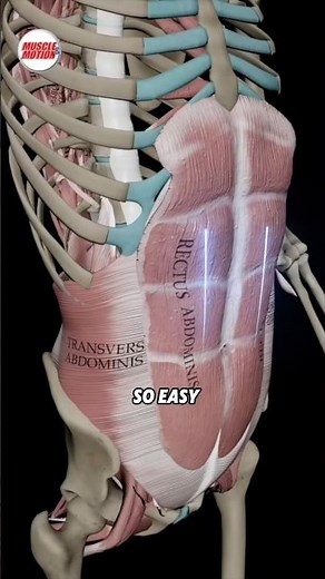 3 Beginner Friendly CORE EXERCISES!