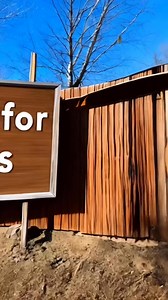 Goldy Exclusive Training Video (Wait for it). You ever seen Goldy limited training video? Wait til the night time training session begins #training #exclusive #Performance #fblifestyletyle #foryousuggested #trainingsession #cuteminipets #pygmyhorse #cowboyaesthetic | Cute Mini Pets