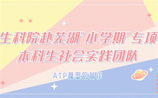 课堂活动"ATP模型的制作"