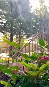 Springtime Gardening ｜ home garden ｜ Home Depot nursery #000