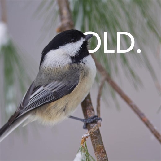 131K views · 3.5K reactions | Time for a moment of zen. By slowing...