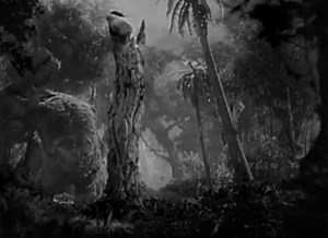 The Classic Monster Adventure Films King Kong 1933 Stop-Motion Animation by Willis O'Brien Battle with Tyrannosaurus Scene. King Kong is a 1933 American pre-Code monster adventure film directed and produced by Merian C. Cooper and Ernest B. Schoedsack. The screenplay by James Ashmore Creelman and Ruth Rose was developed from an idea conceived by Cooper and Edgar Wallace. It stars Fay Wray, Bruce Cabot and Robert Armstrong, and opened in New York City on March 2, 1933, to rave reviews. It has bee