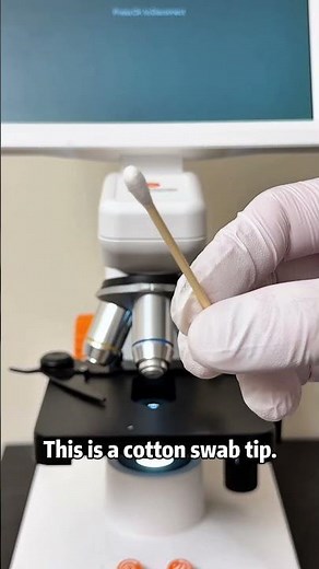 What does a cotton swab tip look like under a microscope? Let’s take a look.