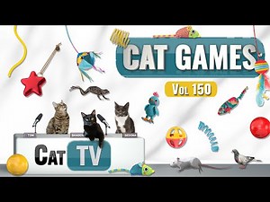 CAT Games | Ultimate Cat TV Compilation Vol 150 | 8 HOURS 🐝🐞🦋🦎🦜🐜🐭🧵
