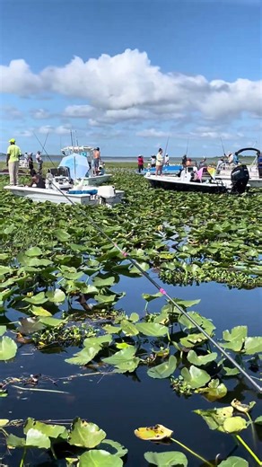 Fish PARTY!!! #crappie #shellcracker #fishing