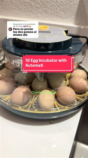 18 Egg Incubator with Automatic Features