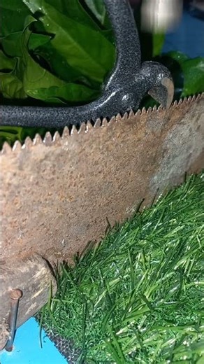 Saw Sharpening Techniques for Precise Cuts"