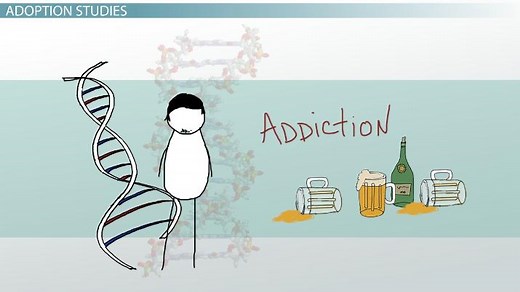 Adoption & Twin Studies | Findings & Examples