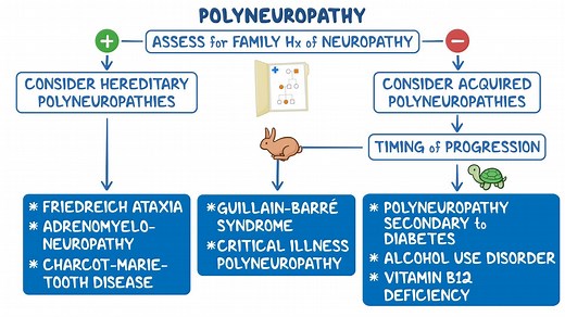 Video: Approach to polyneuropathy: Clinical sciences - Video Explanation! | Osmosis | Osmosis