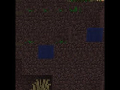 live mc java avec les abo