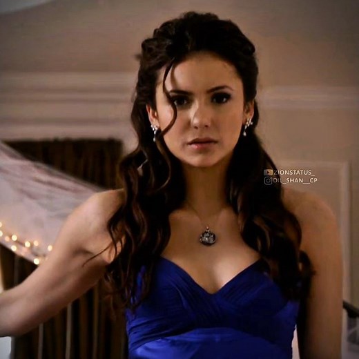 Tvd: Damon and Elena | Delena💞