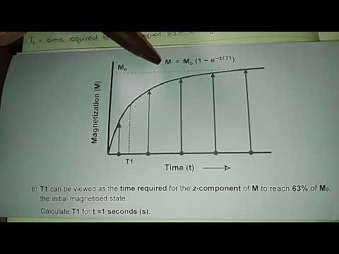 T1 relaxation time calculation
