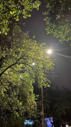 𝓼𝓱𝓱 on Instagram: "… . . . . . . . . . . [Literature, Reading, Love, Poetry, poems, writer, readers, poets, writings,Writing Community, Storytelling, Creative Process, Books, Writing] #poems #poem #poets #poetry #writergram #writingcommunity #writing #writers #neilperry #read #reading #poemsociety #author #bookstagram #foryou #foryoupage #reels #sadlines #unsaidwords #explorepage #viral #fyp #trendingreels #quotes #relatable #writer #writersofinstagram #poetsofinstagram #poetrycommunity"