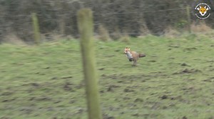 27K views · 635 reactions | 퐒퐚퐛퐬 퐑퐞퐭퐮퐫퐧 퐓퐨 퐁퐒퐕 퐀퐟퐭퐞퐫 퐇퐨퐫퐫퐢퐟퐢퐜...