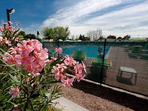 Campingplatz Club del Sole Bologna Easy Camping Village in Emilia-Romagna