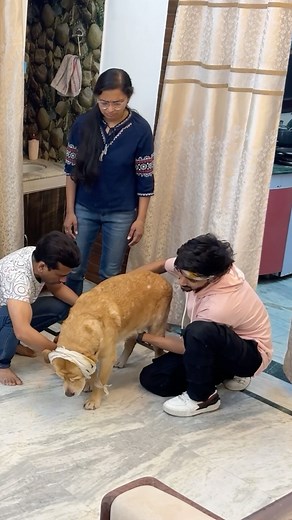 Anant Rastogi on Instagram: "Accident prank on family😂 Watch full video on our youtube channel “Anant Rastogi” Link in bio❤️ #reelkarofeelkaro #prank #explore"