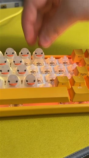 Duckeys™ | Building a DUCK LASER keyboard! 🤯 Duckeys.com #toy #Artisankeycaps #Cherrymx #Customkeyboard #Customkeycap #fidgettoy #Gamer #Gaming... | Instagram