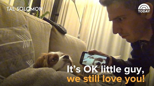 WATCH: Next time your dog is snoring a little too loudly, try this. | Today Show