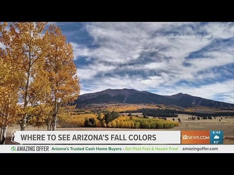 Where can you see Arizona's Fall Colors?