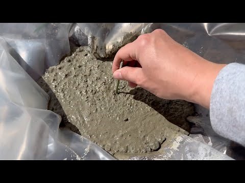 Stick a screw into concrete for this BRILLIANT garden idea!