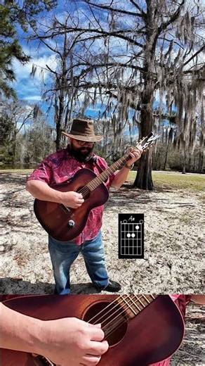 House of the Rising Sun Easy Guitar Tutorial!