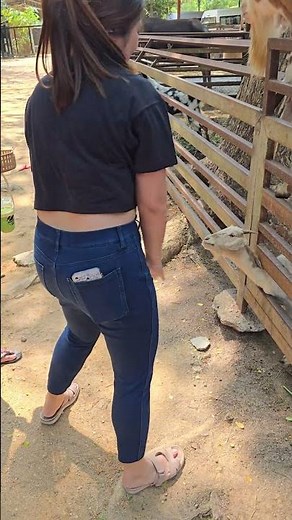 Woman rescues goat trapped in metal cage frame in Bangkok, Thailand