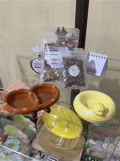 Dusty & Daisy hamster nyobain seedmix baru dari @Caramelthings.id 🤭❤️#hamster #seedmixhamster #fyp #foryoupage #creatorsearchinsights