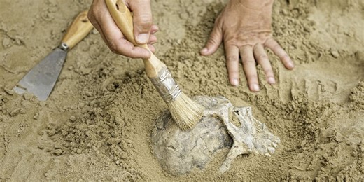 Archeologist discovers fragments of a skull considered 'the oldest face in western Europe'