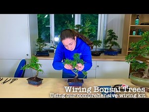 🌳 Introduction to Bonsai Tree Wiring Kit 🌳