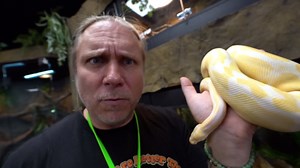 Cage By Cage Reptile Zoo Tour Ends In Painful Bite