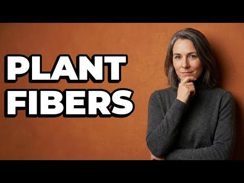 What Are Common Plant Fibers In Historical Textiles?