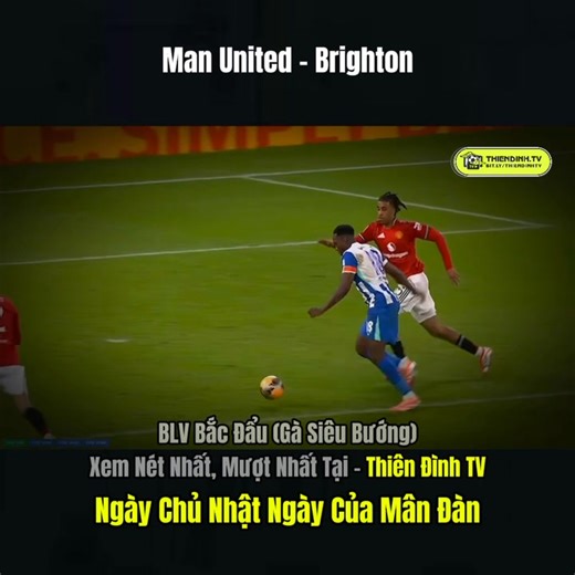 🎋Man United - Bighton ⚡️Ngày Chủ Nhật đáng quên của Mân Đàn🔥🔥🔥 #thiendinhtv #gasieubuong #football #bongda #barcelona #realmadrid | Gà Vàng TV