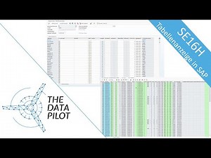 SE16H - Tabellenanzeige in SAP - Eine Kurzanleitung
