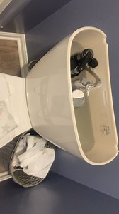 Any idea what would cause this very loud humming at the end of a flush? The video isn’t very loud but this can be heard throughout the entire house and it happens with every flush.