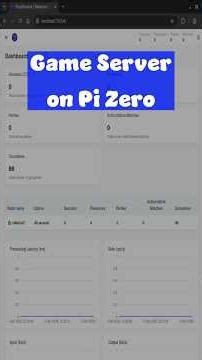 Host a Game Server on a Pi Zero!