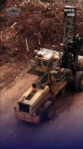 Changes needed to boost timber harvest in B.C., forest critic says