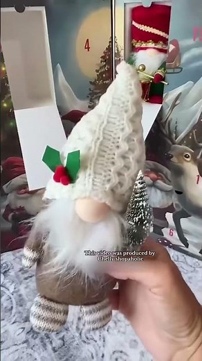 🎅2025 Christmas Handcrafted Gnomes Advent Calendar
