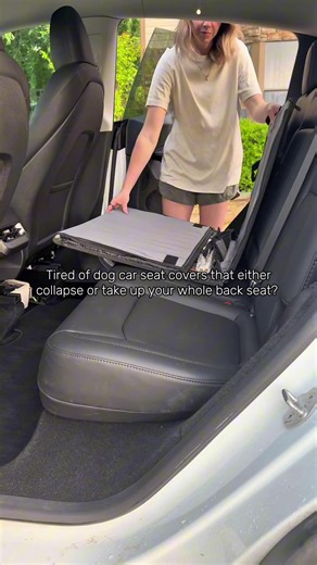 Best Dog Car Seat: Safe and Easy to Install