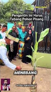 Pengantin Harus Tebang Pohon Pisang Di Pernikahannya #shorts