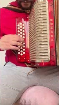 EL SANTO CACHON 🪗 (BRIDGE) #losembajadoresvallenatos #vallenato